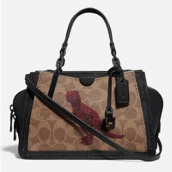 Rare NWT Coach Rexy Dreamer 21 Signature Canvas Jianguo Artists Leather Motif - Picture 7 of 11